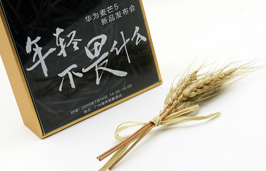「豪升网络」品牌营销策划公司策略